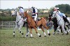 UKPA  NC Sat_1402